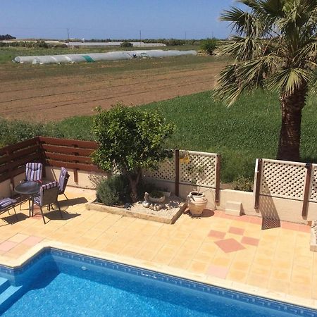 Quality Villa With Pool In Superb Location In Paphos Mandria  Eksteriør billede
